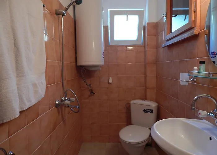 Snejanka Μπαλτσίκ